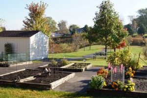 Community garden in autumn